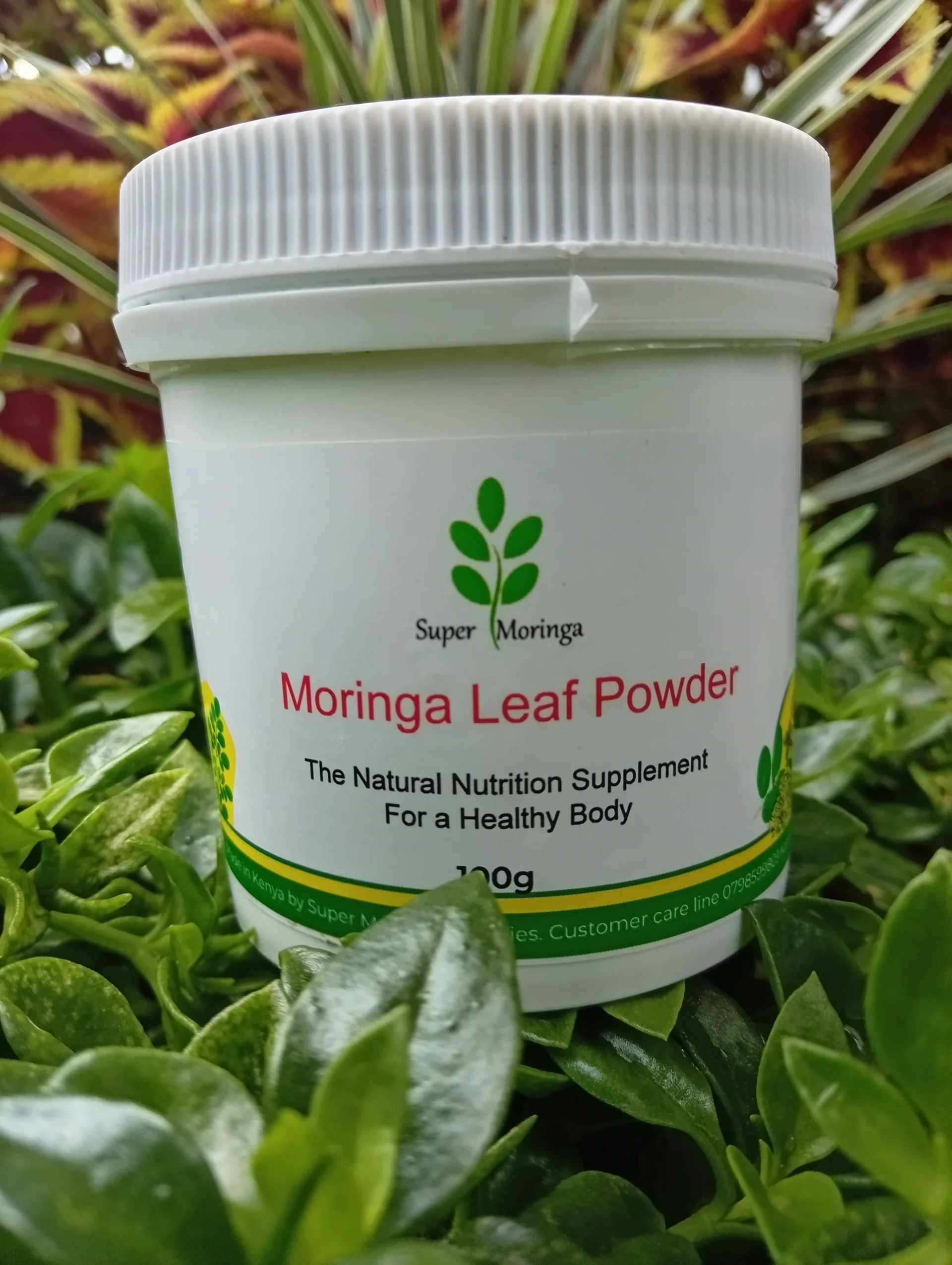 Organic Moringa Powder