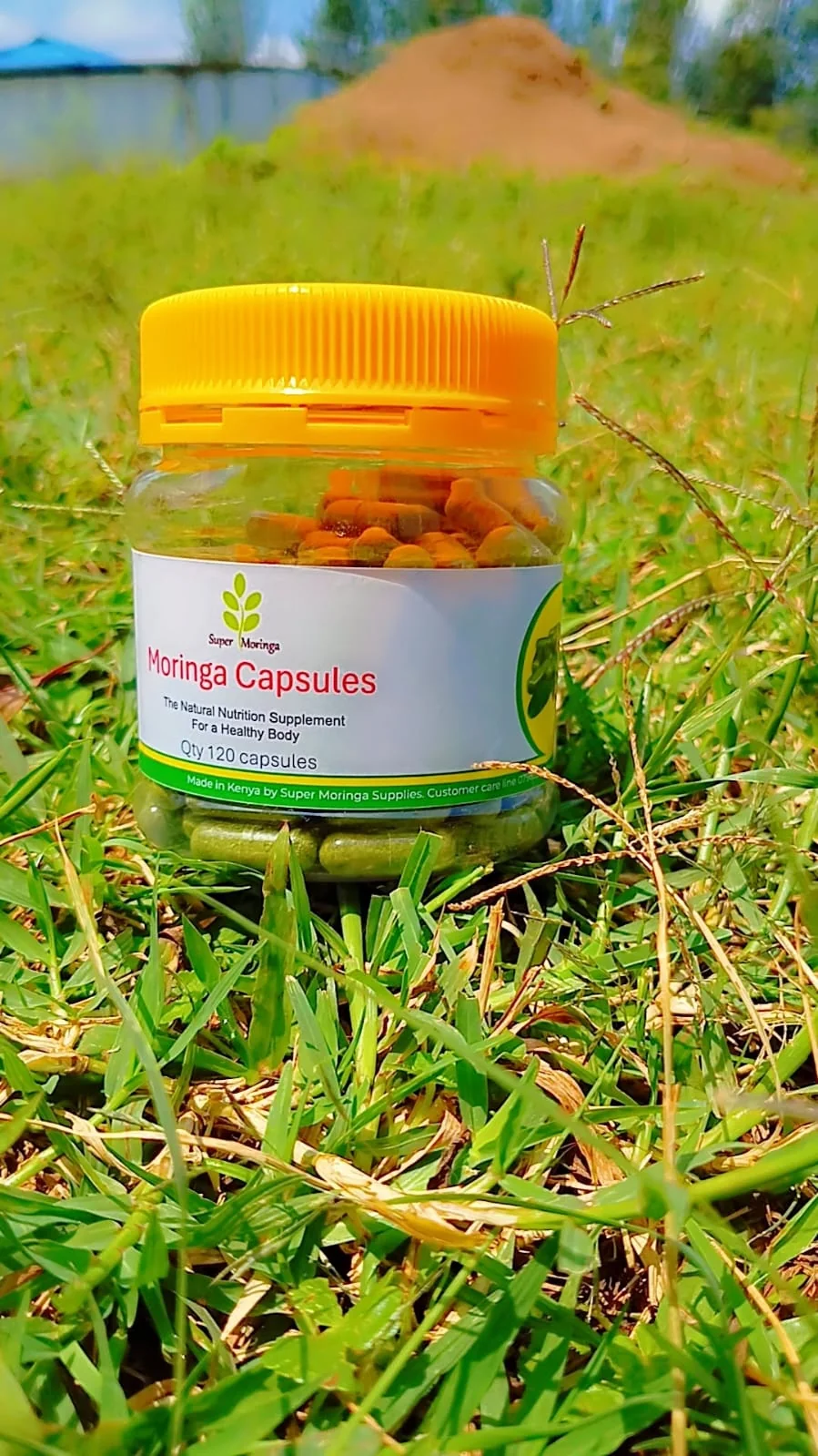 Moringa Capsules (60ct)